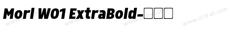 Morl W01 ExtraBold字体转换